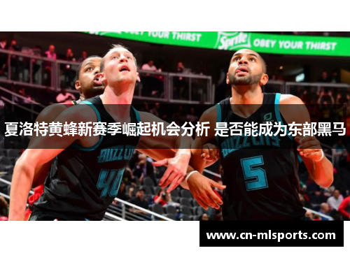 夏洛特黄蜂新赛季崛起机会分析 是否能成为东部黑马