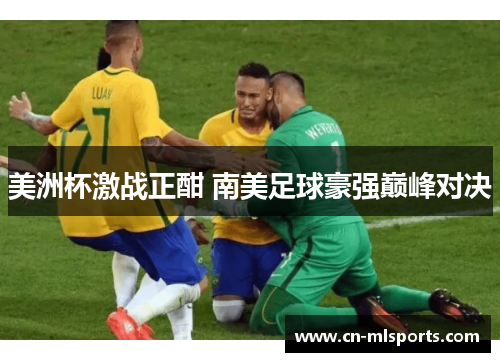 美洲杯激战正酣 南美足球豪强巅峰对决