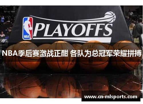 NBA季后赛激战正酣 各队为总冠军荣耀拼搏
